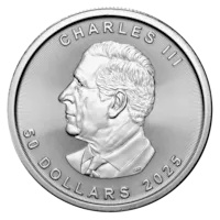 2025 1 oz Canadian Platinum Maple Leaf Coin BU