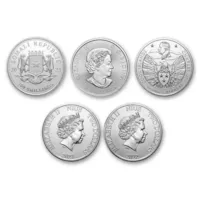 1 oz Silver Coin - Random Mint