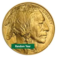1 oz American Gold Buffalo Coin - Abrasions