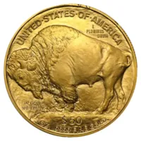 1 oz American Gold Buffalo Coin - Abrasions
