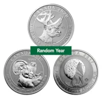 3/4 oz Silver Coin (Random Mint)