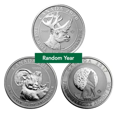 3/4 oz Silver Coin (Random Mint)