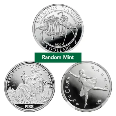 1/4 oz Platinum Coin - Random Design